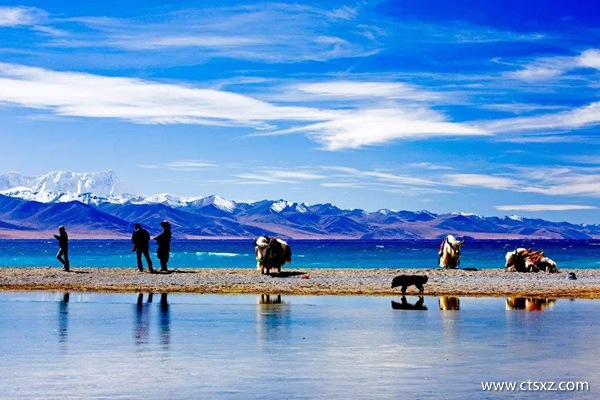 去西藏旅游需要多少錢