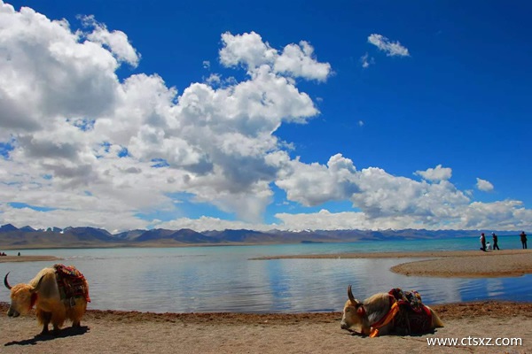 去西藏的最佳時間