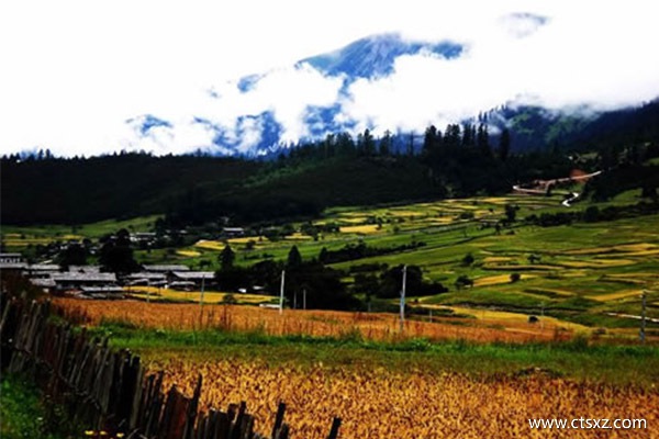 西安到拉薩火車