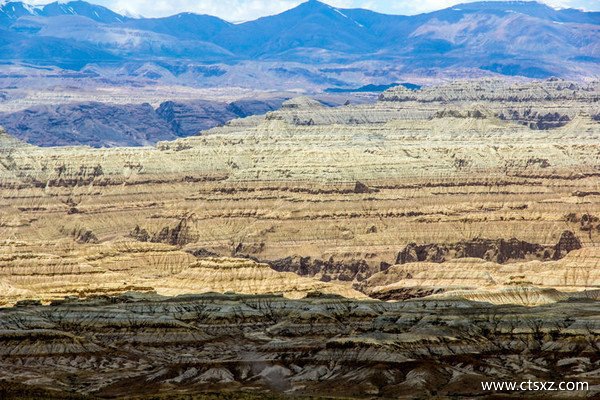 上海到拉薩火車