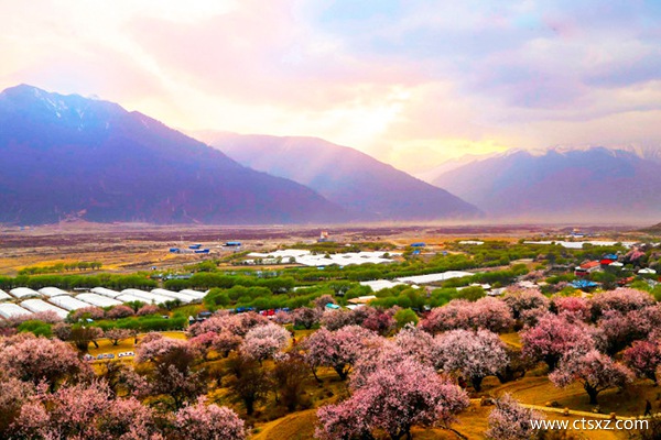 幾月去西藏好玩