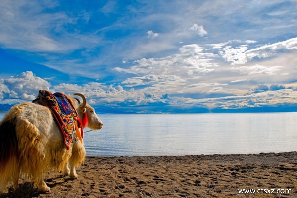 西藏8日游旅游費用