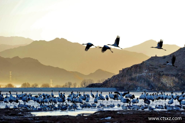 西藏旅游費(fèi)用大約多少