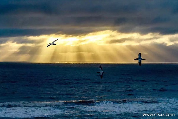 西藏一個人去西藏怎么樣