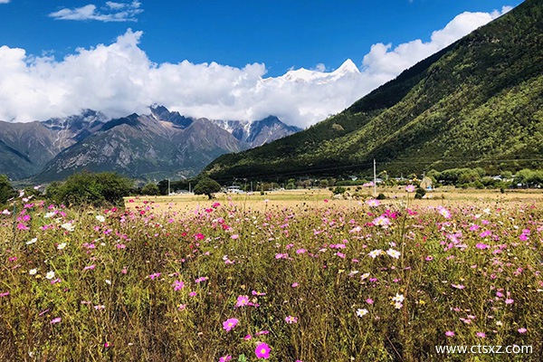 去一趟西藏大概要多少錢