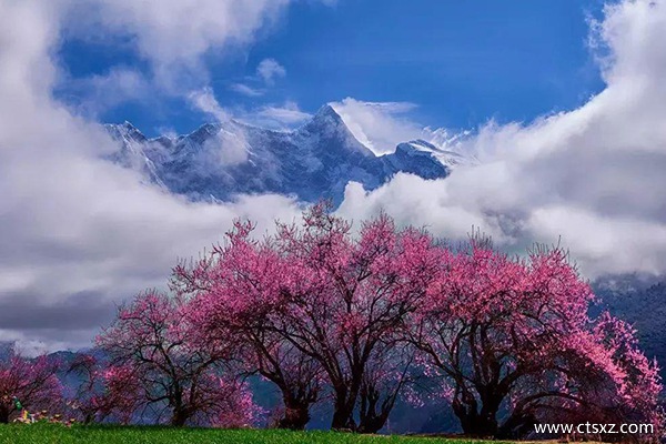 幾月份去林芝看桃花比較好