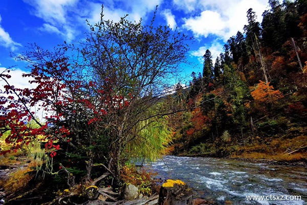 西藏游玩需要幾天