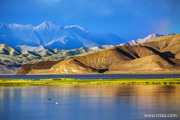 到選擇走哪條路線