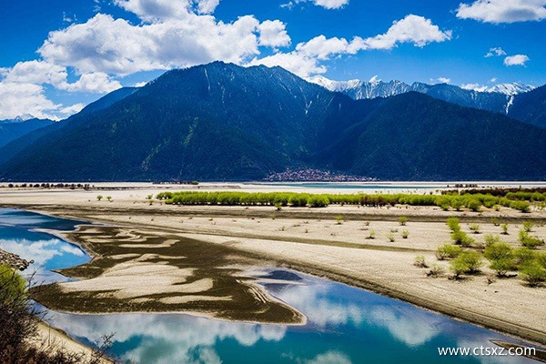 西藏品質游苮兒