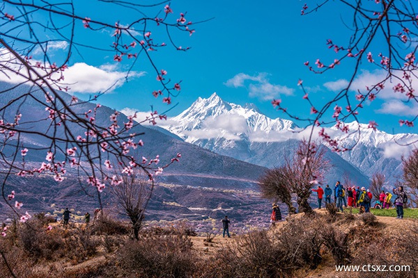 去西藏跟團(tuán)好嗎