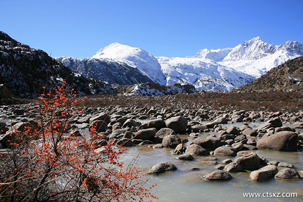 西藏旅行社哪家好