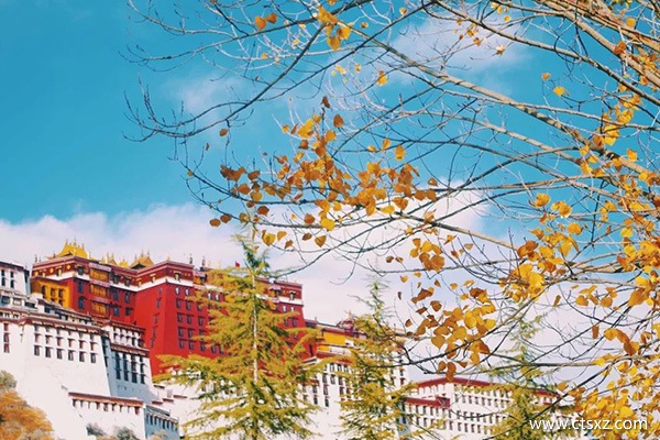 哪個(gè)季節(jié)去西藏最美