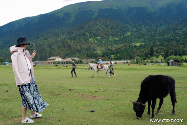 去西藏什么時(shí)間最合適
