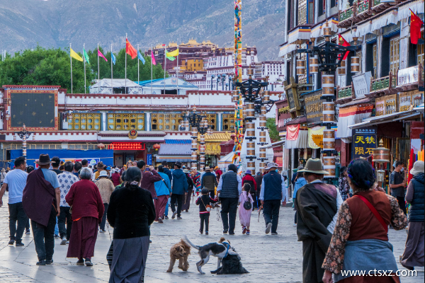 西藏哪個旅行社比較好