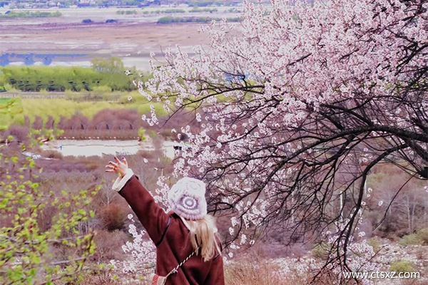 西藏林芝旅游團報價