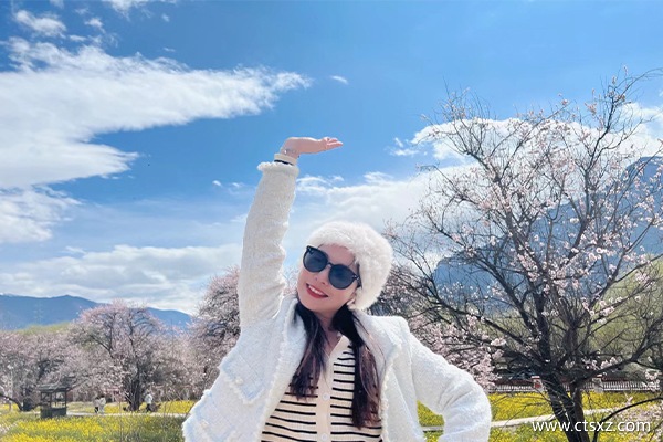 跟團去西藏旅游大概多少錢