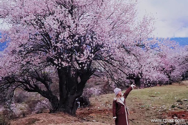 去西藏團多少錢一天旅游