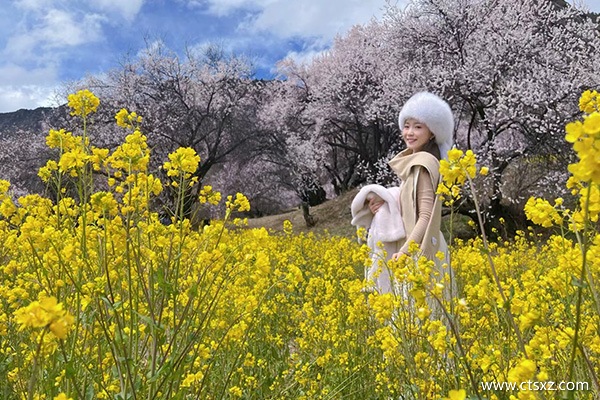 跟團去西藏的費用