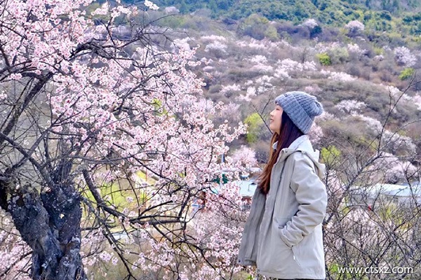 跟旅游團(tuán)去西藏要多少錢