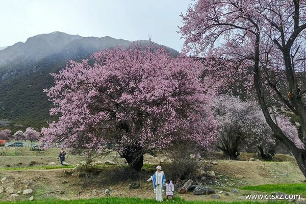 貴陽去西藏七日游報團(tuán)價格