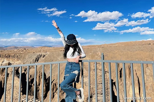 西藏報團旅游大約多少錢