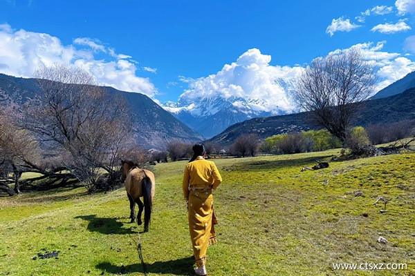 7日游西藏跟團多少錢一個人